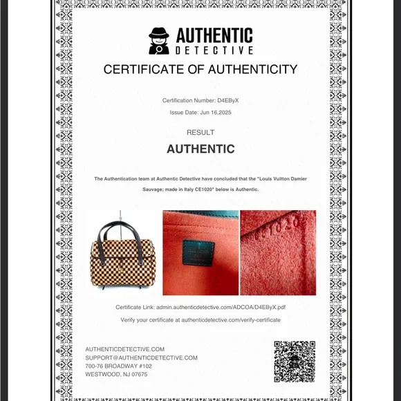 Louis Vuitton LV Damier Sauvage Pony Hair Handbag w COA - edge and corner wear - Picture 3 of 17